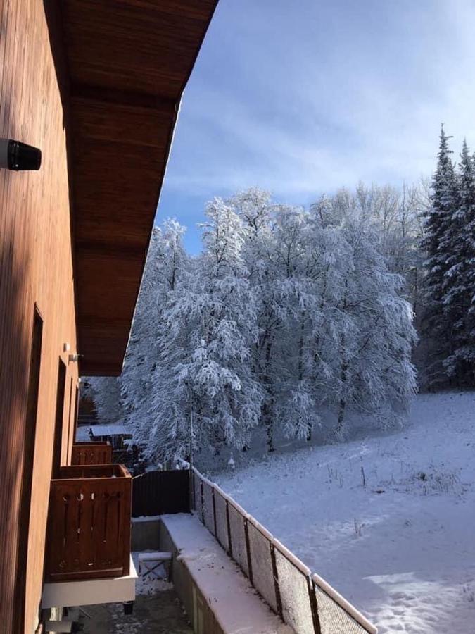 Fortuna Cottage Bakuriani Εξωτερικό φωτογραφία